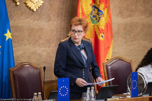 Popović: Zabrinjava kad kolege iz opozicije pribjegavaju...