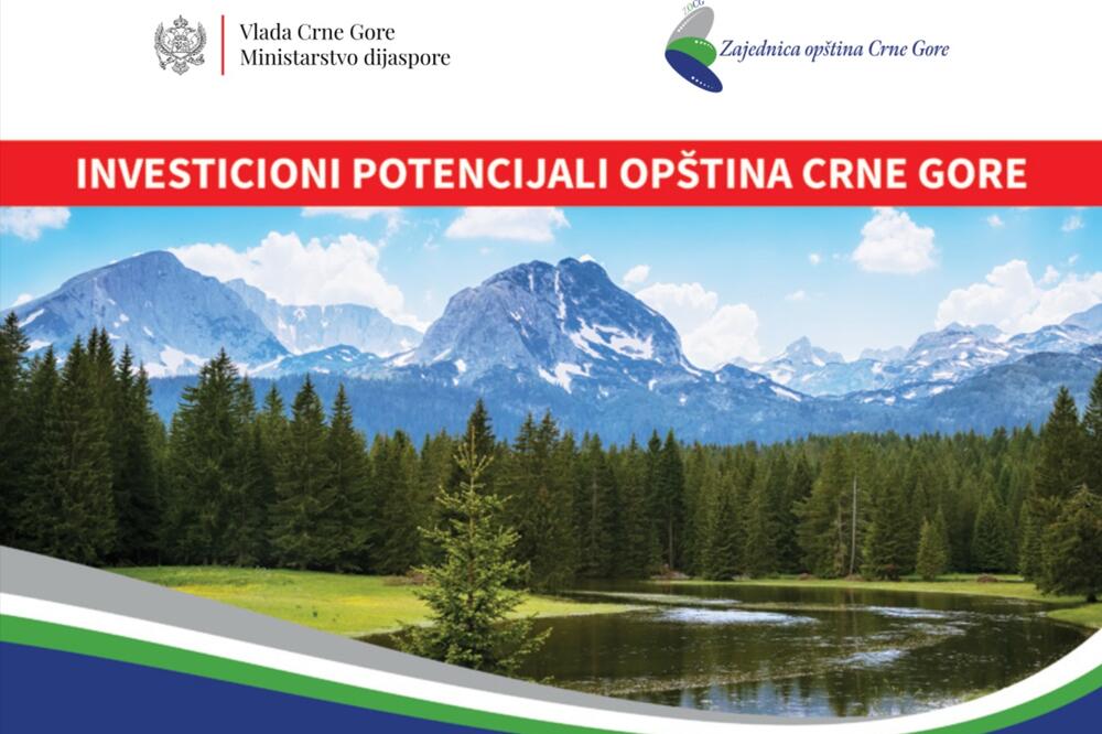 Foto: Ministarstvo dijaspore/Zajednica opština Crne Gore