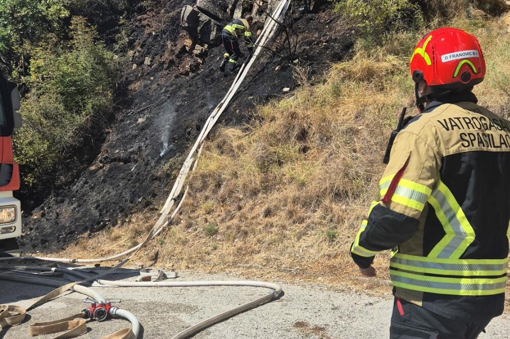 Ugašen požar uz put prema Gornjoj Lastvi, Foto: SZS Tivat
