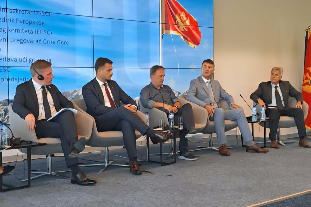 Detalj sa prvog panela, Foto: Unija slobodnih sindikata Crne Gore