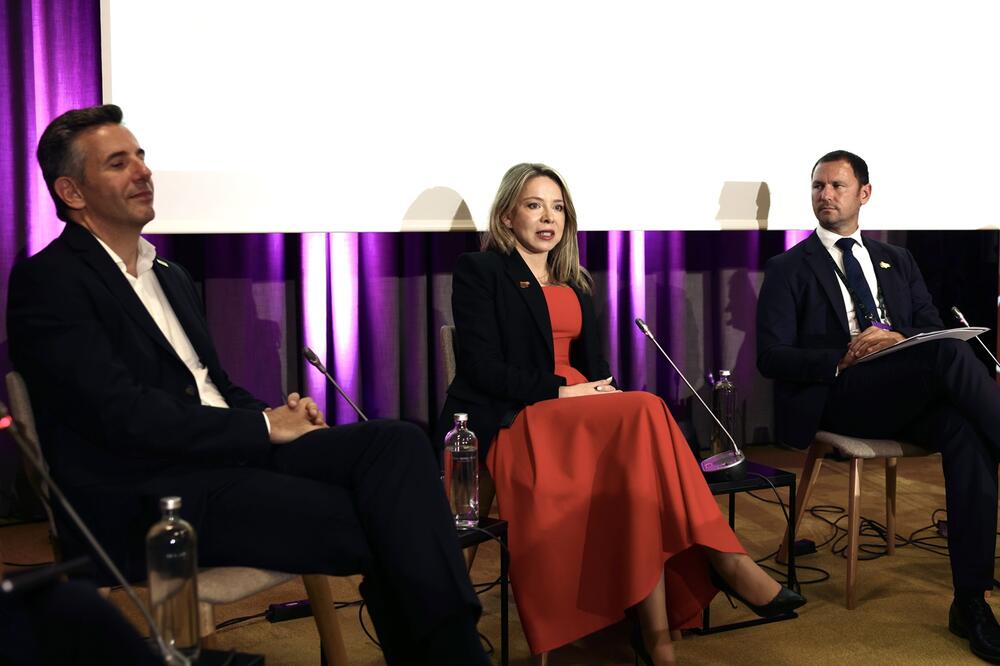 Radović na Bledskom strateškom forumu, Foto: Centralna banka Crne Gore