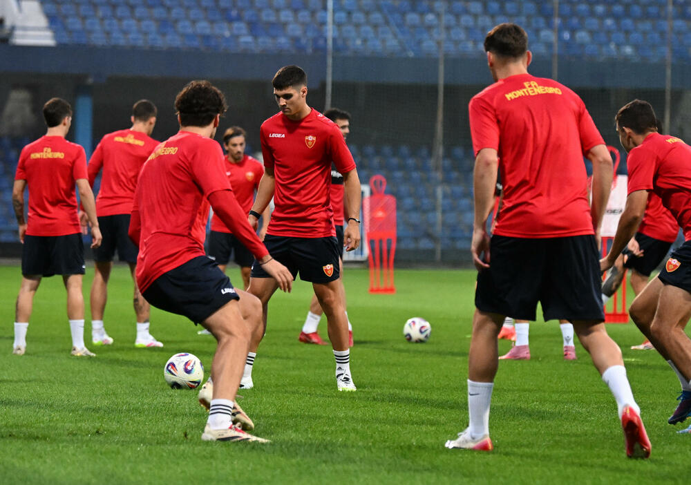 <p>Fudbalska reprezentacija Crne Gore u petak (20:45) u Podgorici dočekuje Češku u kvalifikacijama za Svjetsko prvenstvo. Tri danas kasnije "hrabri sokoli" gostuju Hrvatskoj (20:45)</p>