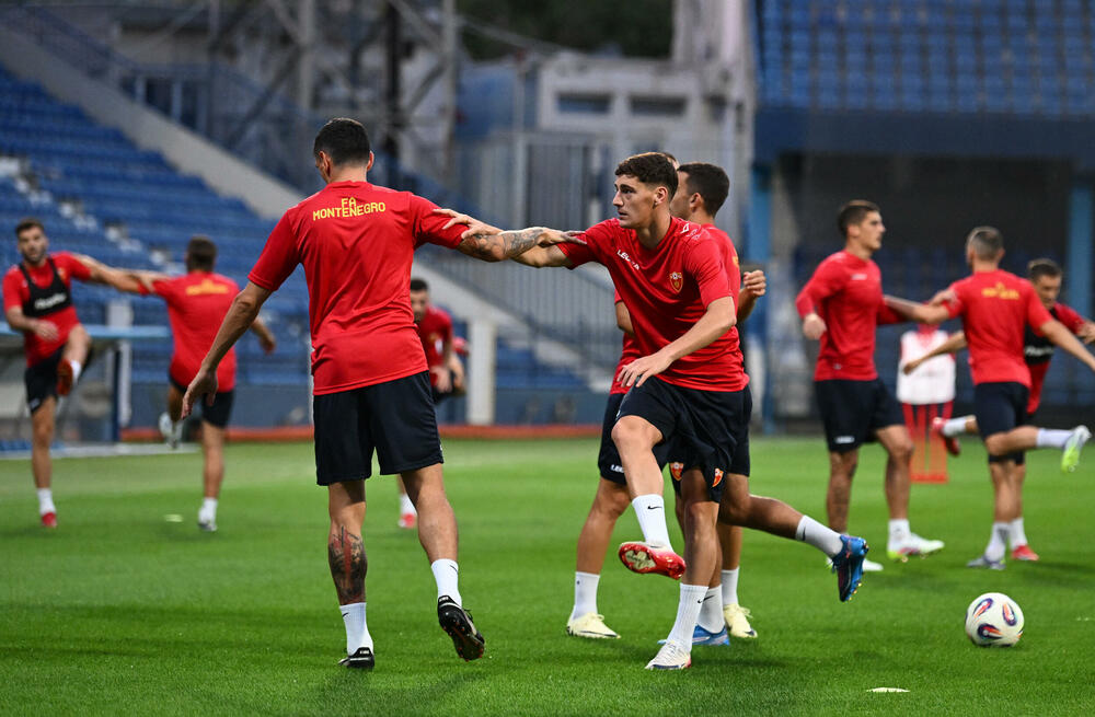 <p>Fudbalska reprezentacija Crne Gore u petak (20:45) u Podgorici dočekuje Češku u kvalifikacijama za Svjetsko prvenstvo. Tri danas kasnije "hrabri sokoli" gostuju Hrvatskoj (20:45)</p>