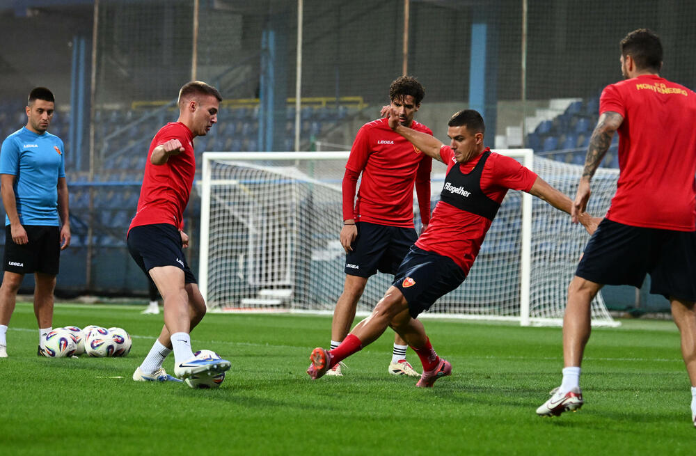 <p>Fudbalska reprezentacija Crne Gore u petak (20:45) u Podgorici dočekuje Češku u kvalifikacijama za Svjetsko prvenstvo. Tri danas kasnije "hrabri sokoli" gostuju Hrvatskoj (20:45)</p>