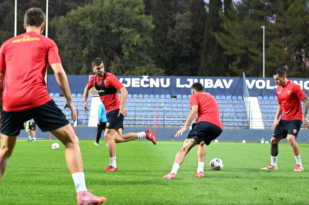 <p>Fudbalska reprezentacija Crne Gore u petak (20:45) u Podgorici dočekuje Češku u kvalifikacijama za Svjetsko prvenstvo. Tri danas kasnije "hrabri sokoli" gostuju Hrvatskoj (20:45)</p>