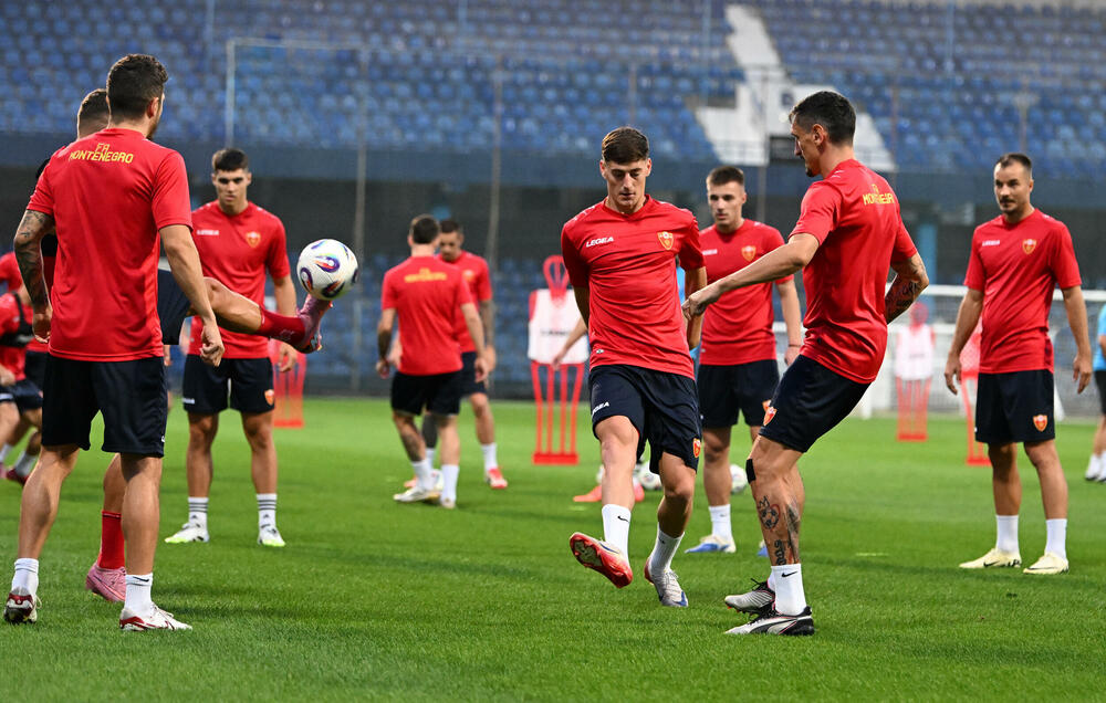 <p>Fudbalska reprezentacija Crne Gore u petak (20:45) u Podgorici dočekuje Češku u kvalifikacijama za Svjetsko prvenstvo. Tri danas kasnije "hrabri sokoli" gostuju Hrvatskoj (20:45)</p>