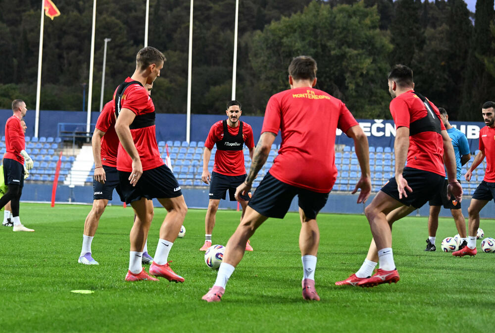 <p>Fudbalska reprezentacija Crne Gore u petak (20:45) u Podgorici dočekuje Češku u kvalifikacijama za Svjetsko prvenstvo. Tri danas kasnije "hrabri sokoli" gostuju Hrvatskoj (20:45)</p>