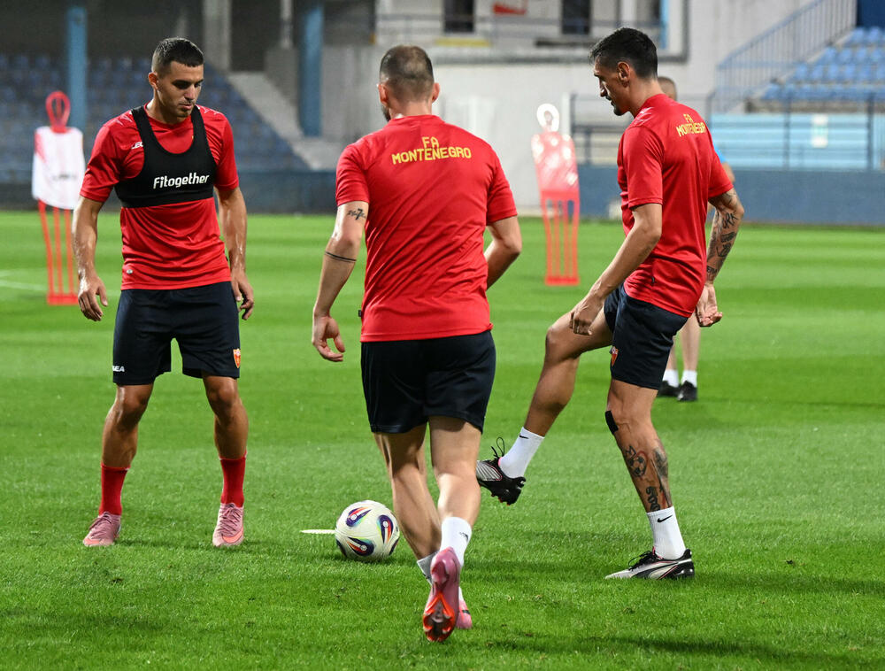 <p>Fudbalska reprezentacija Crne Gore u petak (20:45) u Podgorici dočekuje Češku u kvalifikacijama za Svjetsko prvenstvo. Tri danas kasnije "hrabri sokoli" gostuju Hrvatskoj (20:45)</p>