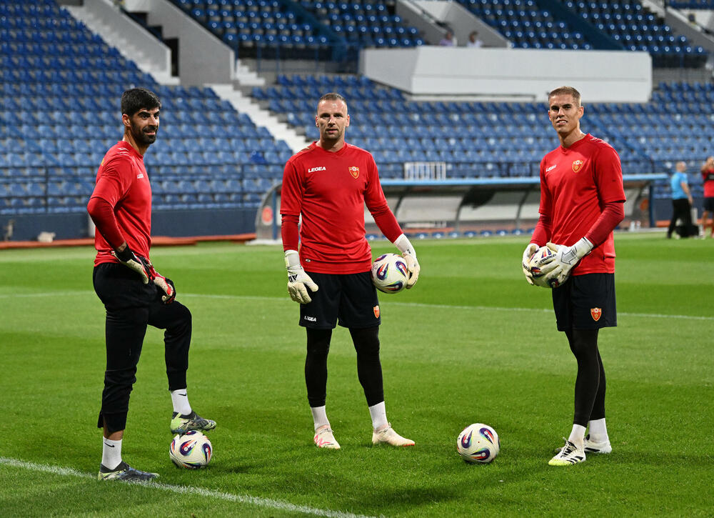 <p>Fudbalska reprezentacija Crne Gore u petak (20:45) u Podgorici dočekuje Češku u kvalifikacijama za Svjetsko prvenstvo. Tri danas kasnije "hrabri sokoli" gostuju Hrvatskoj (20:45)</p>