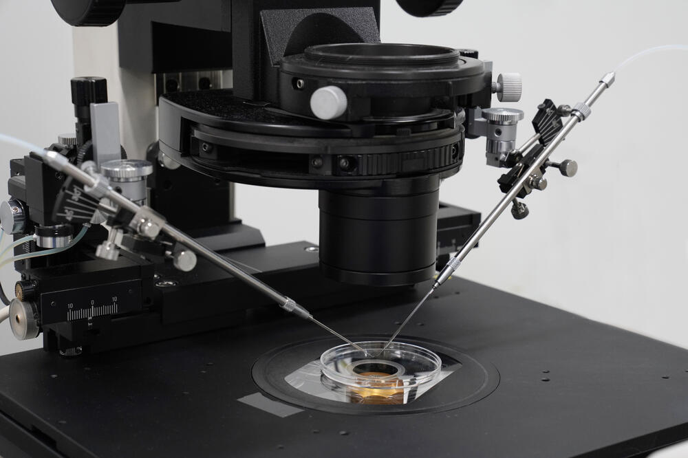 Parovi koji žele potomstvo bez stvarne podrške (ilustracija), Foto: Shutterstock