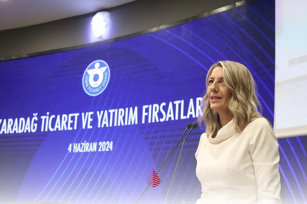 Profesor engleskog jezika i književnosti: Snežana Đurović, Foto: Agencija za strane investicije