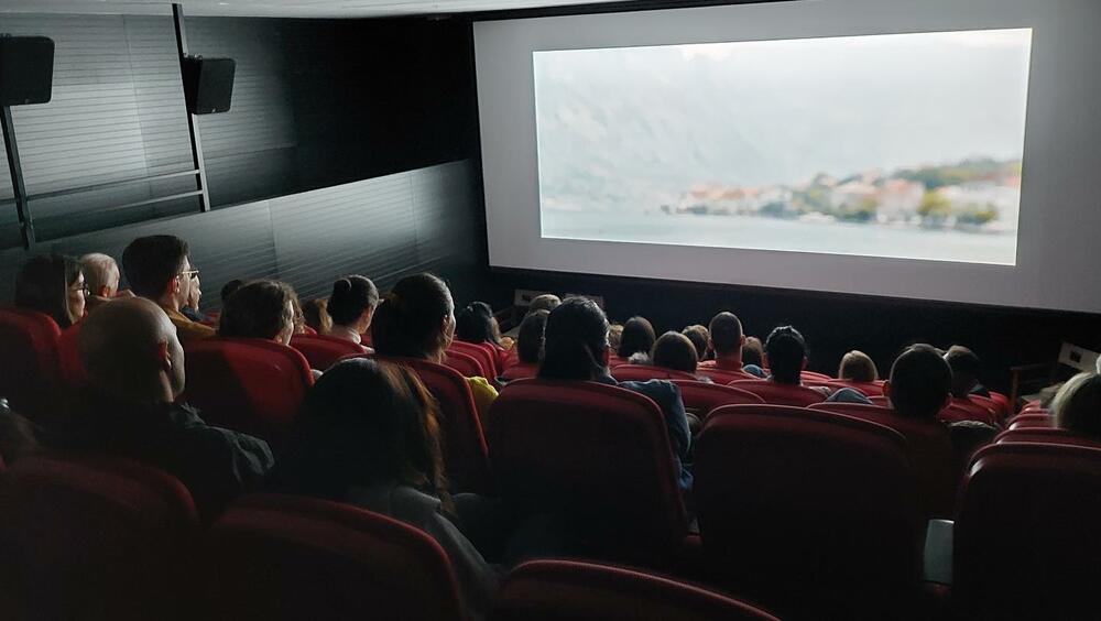 Ministarstvo kulture, Crnogorska kinoteka i Filmski centar traže...