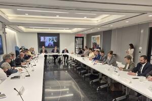 Krapović: Crna Gora ostaje privržena principima i vrijednostima UN