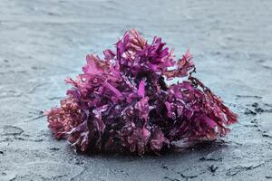 Morska mahovina - superhrana ili prolazni zdravstveni trend