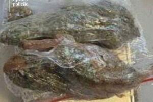 UP: Uhapšena žena sa Kosova, pronađena marihuana