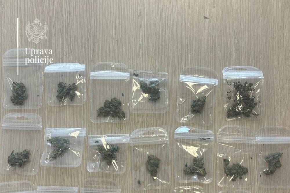 Fotografija dostavljena iz Uprave policije, Foto: Uprava policije