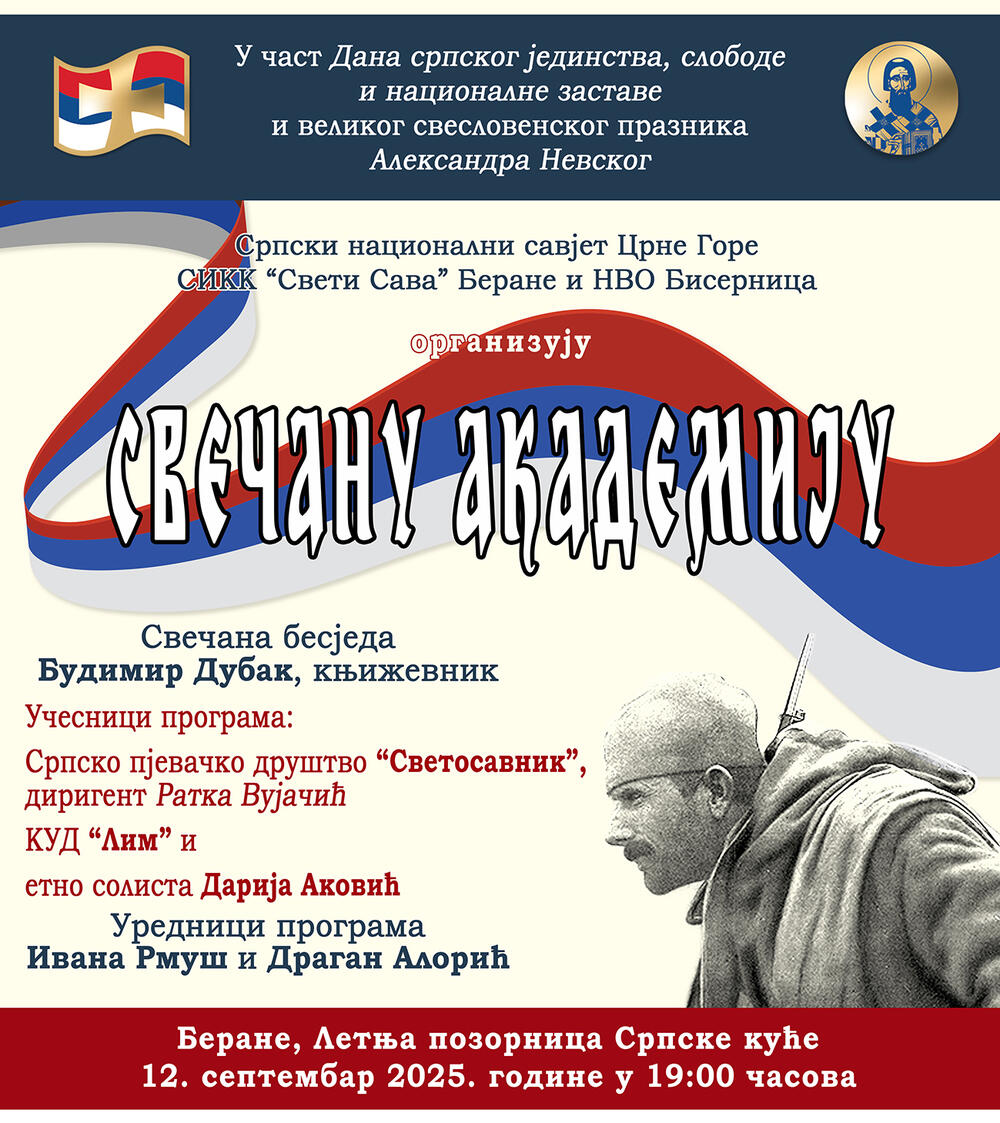 Srpski nacionalni savjet akademija