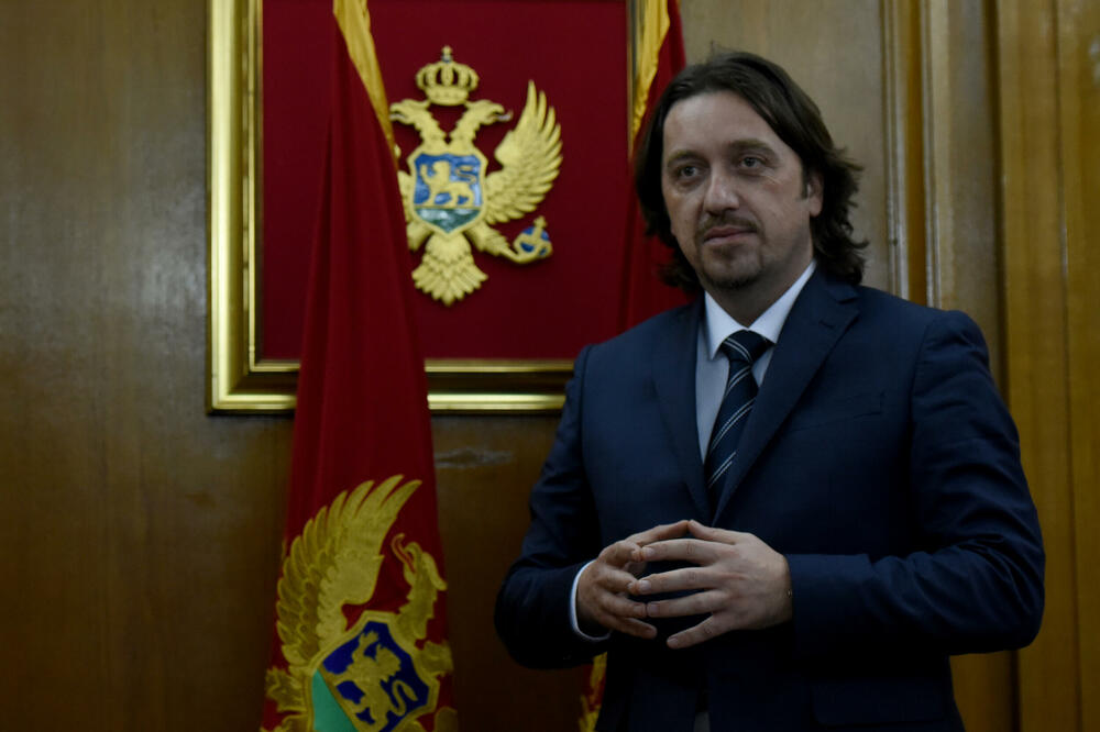 Očekujemo da će politička i stručna javnost, uključujući i NVO, dati doprinos: Sekulović, Foto: Savo Prelević