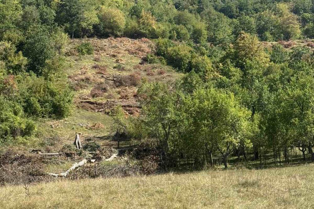 Foto: Privatna arhiva