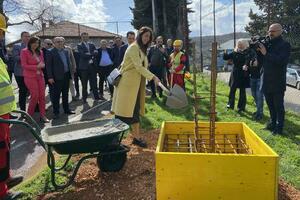 Za halu u Mrkojevićima čekaju opštinu