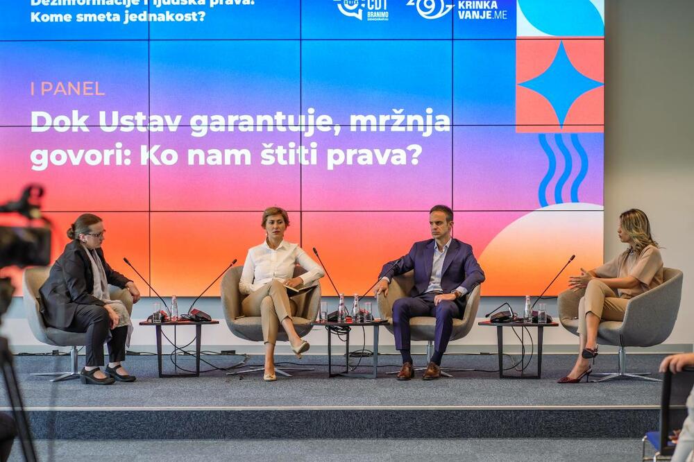 Detalj sa panela, Foto: CDT