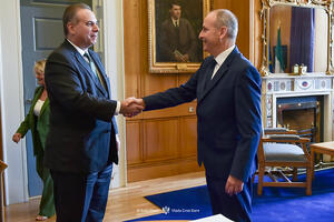 Ivanović - Martin: Irska snažno podržava evropski put Crne Gore