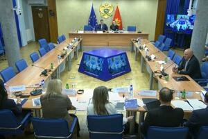 Izvještaje o radu CBCG saslušala dva poslanika, najavljen pad...