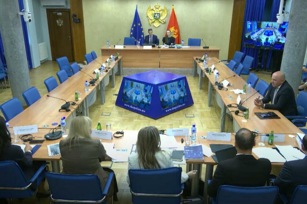 Sa sjednice Odbora, Foto: Printscreen YouTube