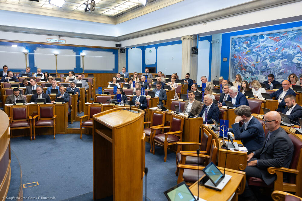 Da bi Vučinić bila izabrana, potrebno je da je u prvom krugu podrže 54 od 81 poslanika: detalj iz parlamenta, Foto: Skupština