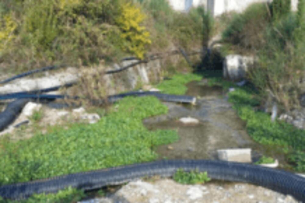 Devastirano izvorište u Mojdežu (Iz studije Katastar rasutih zagađivača Topljanskog zaliva, 2005.), Foto: Radojicic