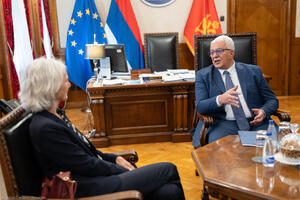 Mandić: Tradicionalno dobra i sadržajna saradnja sa UN i drugim...