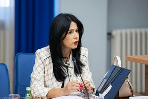 Bojanić Lalović: Kad mladi vide da se zločinci pretvaraju u...