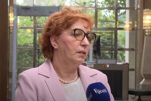 Partije zvanično još nisu odlučile hoće li podržati kandidaturu...