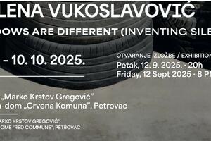 “Sjenke su drugačije”: Izložba Milene Vukoslavović u Petrovcu