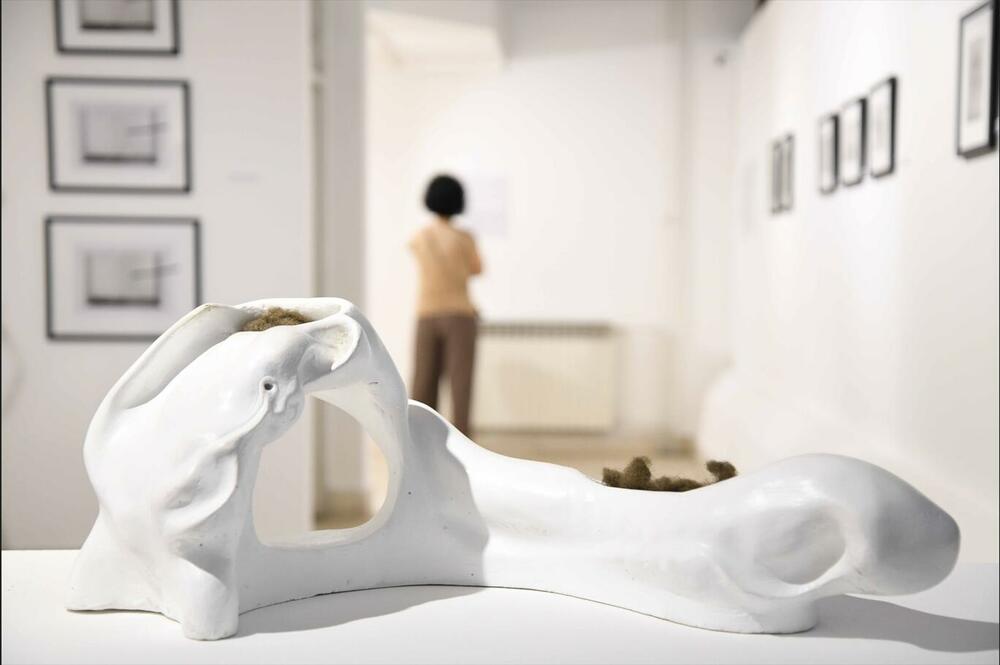 Retrospektiva Vladana Radovanovića odprta v Galeriji MSUCG v Podgorici