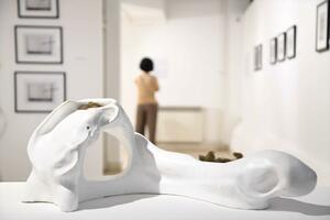 „Ispred vremena i izvan“ – retrospektiva Vladana Radovanovića u...