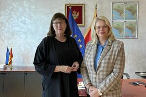 Vukićević: Radimo na tome da još jedna značajna avio-kompanija...