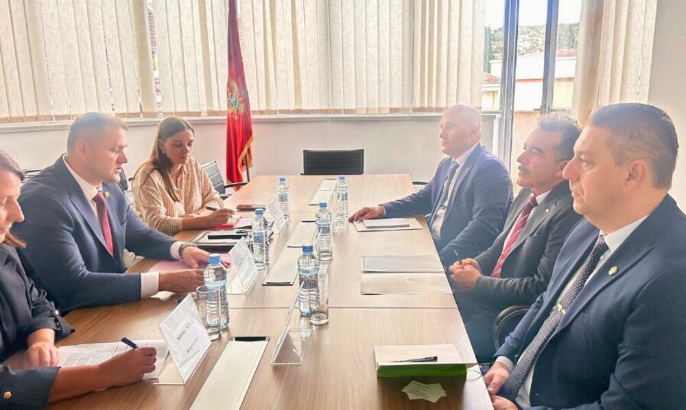 Podrška EU u borbi protiv organizovanog kriminala