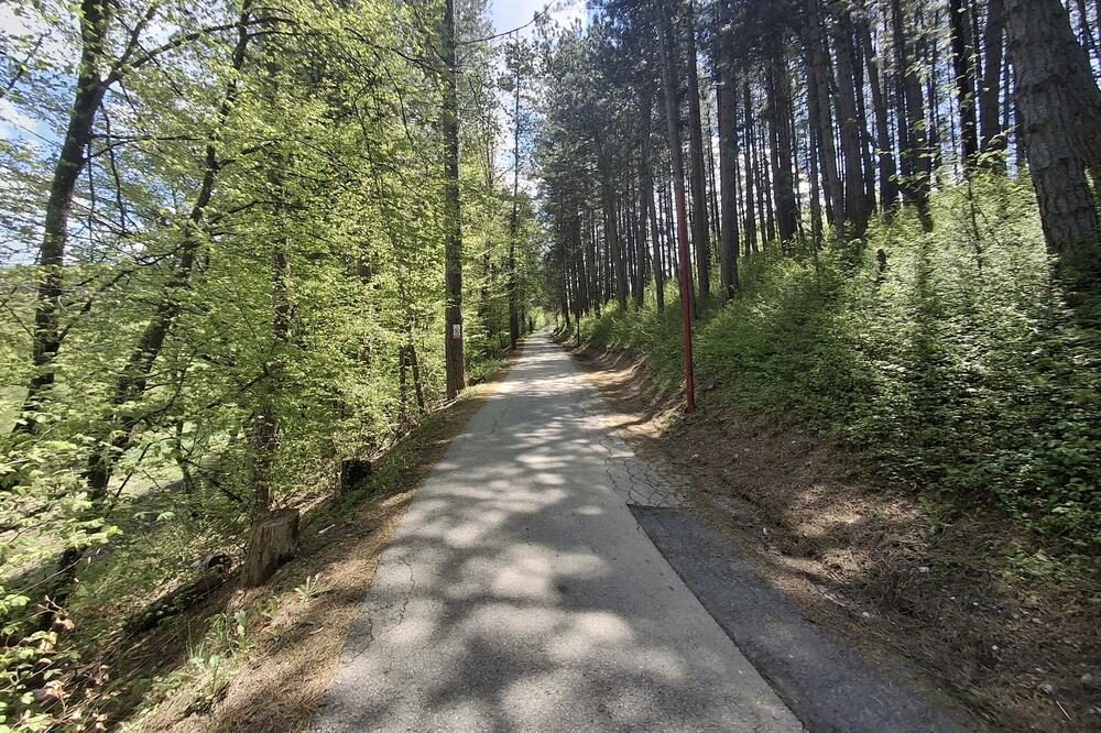 Park šuma Dulovine, Foto: Dragana Šćepanović