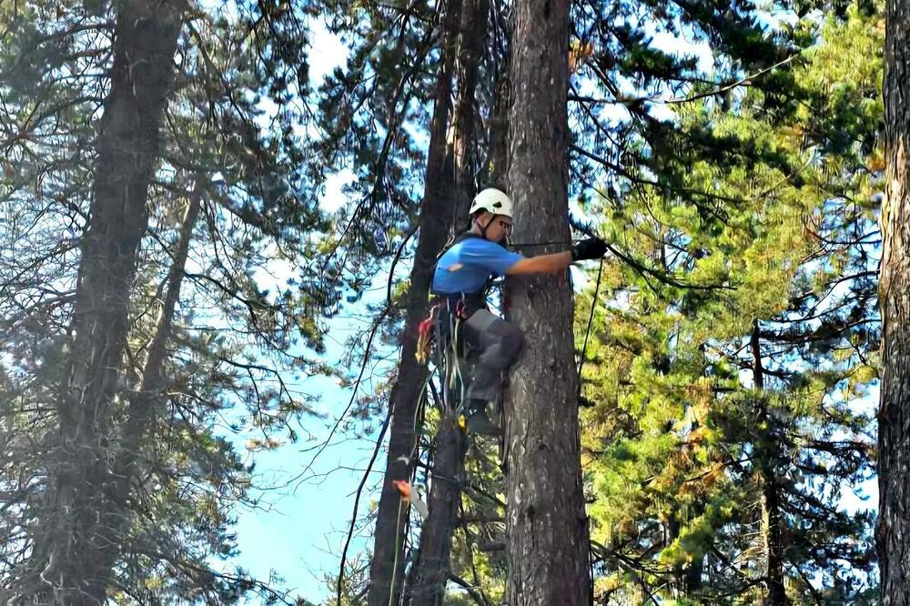 Foto: cetinjskilist.com