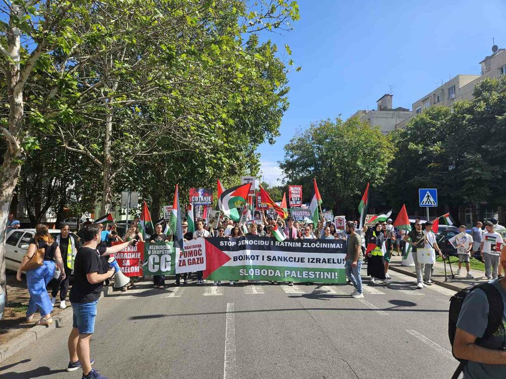 V Podgorici potekal protest solidarnosti s Palestino