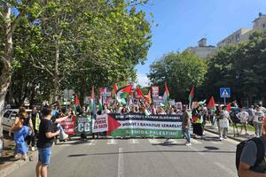 U Podgorici održan protest solidarnosti sa palestinskim narodom:...