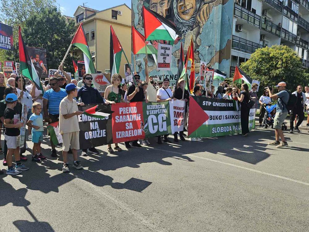 <p>Skup u Podgorici je organizovao Pokret solidarnosti sa Palestinom Crne Gore</p>  <p>Na protestu je učestvovalo više stotina građana</p>