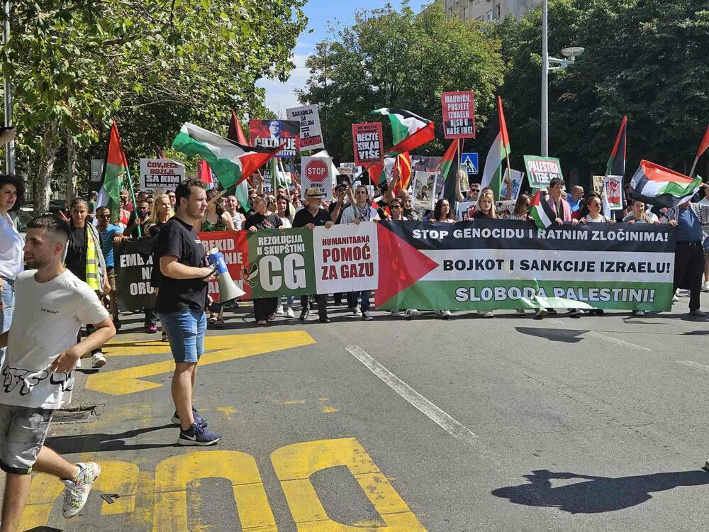 <p>Skup u Podgorici je organizovao Pokret solidarnosti sa Palestinom Crne Gore</p>  <p>Na protestu je učestvovalo više stotina građana</p>
