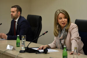 CIN-CG Vlast bi da kontroliše, a možda i smijeni guvernerku: Udar...