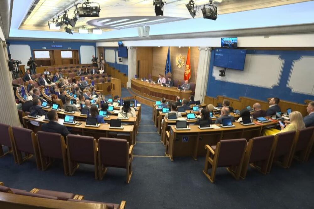 Sa sjednice, Foto: Screenshot