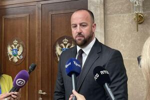 Nikolić: Blokiran Ustavni sud u interesu vladajuće većine;...