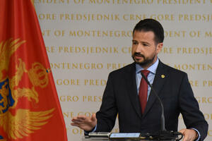 Milatović: Ohrabruje činjenica da niko od poslanika nije glasao...