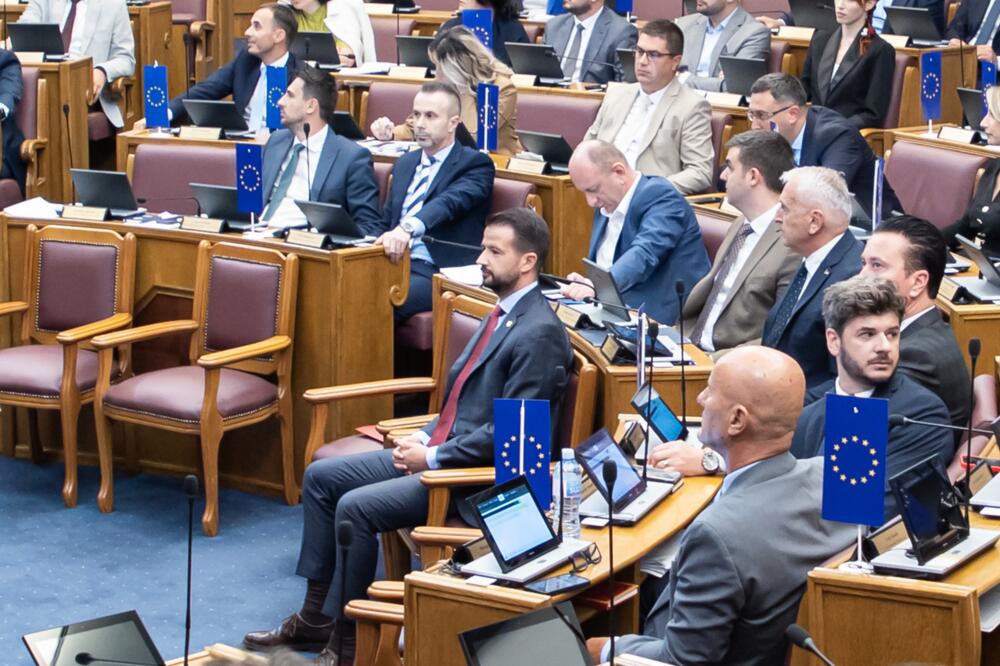 Potez poslanika vlasti nazvao neodgovornim i kukavičkim: Milatović, Foto: Skupština