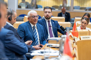 Mandić: Vodimo snažnu borbu protiv organizovanog kriminala i...